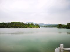 -佛手湖郊野公园