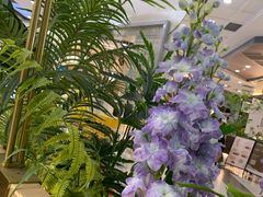 -Aqua Oasis 水天堂(常熟永旺店)