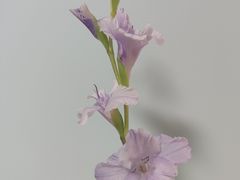 -济南恒隆广场