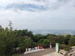 -东莞市大岭山森林公园