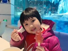 -帝企鹅自助餐厅•儿童岛•真企鹅(长隆企鹅酒店)