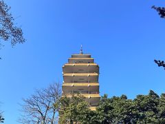 -鹅岭公园瞰胜楼