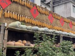 -新安江山水画廊风景区