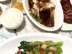 -青雅中餐厅(大连金石滩绿发希尔顿度假酒店)