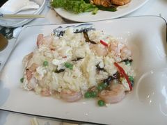 芙蓉虾仁-老苏扬饭店