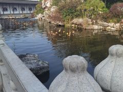 -梅园