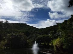-热带雨林自然公园