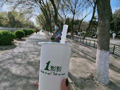 -元大都城垣遗址公园