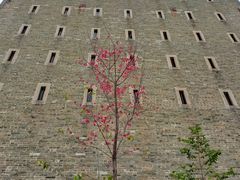 -均和墟历史街区-平和大押