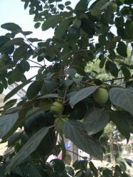 点击看大图 android_upload_pic-唯一视觉婚纱摄影(李家村店)