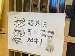 -御宝贝·A梦猫科宠物医院(国际猫友好医院)