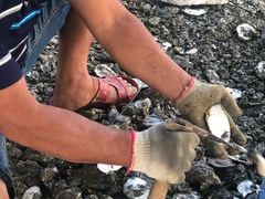 -蚝乡农庄(铁涌赤岸店)