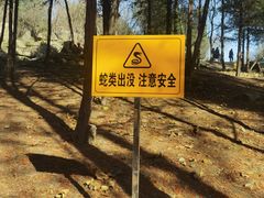 -白水寺森林公园