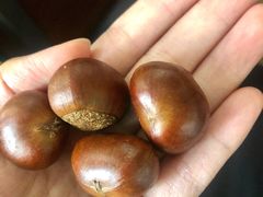 糖炒板栗糖炒栗子-粒上皇(天河南一路店)