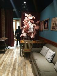 -星豆豆儿童摄影(南郊太白南路店)