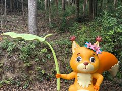 -广州市流溪河国家森林公园