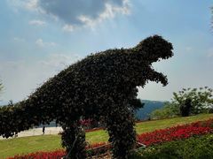 -铁山坪森林公园