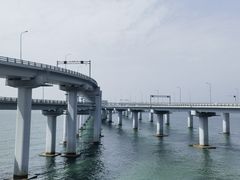 -星海湾跨海大桥