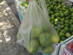 -前小桔亲子创意农场·草莓采摘·露营烧烤