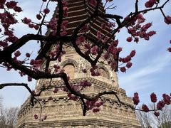 -玲珑塔公园
