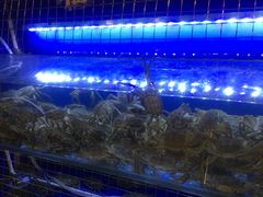 -虎虎龙虾大排档(双井店)