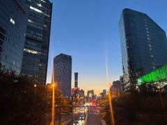 -远洋未来汇