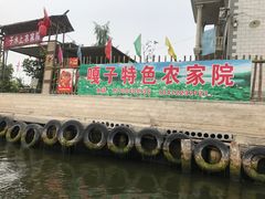 -白洋淀景区