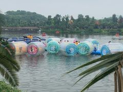 -枫香湖儿童公园