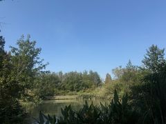 -桤木河湿地公园