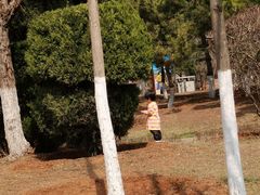 -前关湿地公园