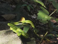 -宁波五龙潭景区