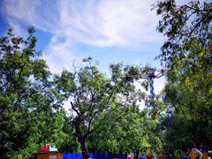 -朝阳公园游乐园