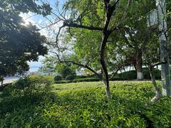 -云龙湖旅游景区