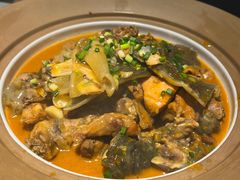 -洞庭家宴·头牌甲鱼(广渠门店)