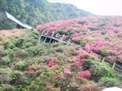 -木兰云雾山
