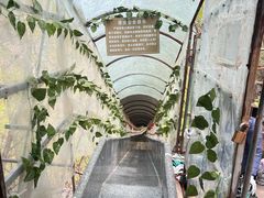 -大连天门山国家森林公园