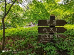 -汇龙潭