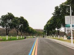 -羊山湖公园
