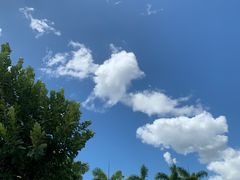 -夏威夷珍珠港