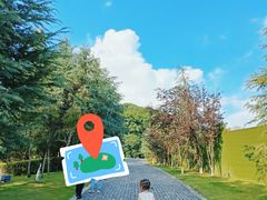 -铁山坪森林公园