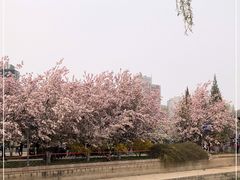 -元大都城垣遗址公园