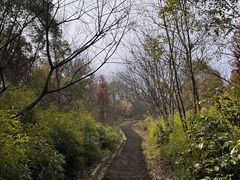 -桃花岭景区