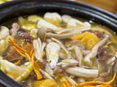 -菌之家·专业纯野生菌火锅·特色炒菌