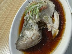 -台北楚楚园馅饼粥(虹桥南丰城店)