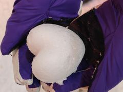 -宁波冰雪大世界(北仑区)