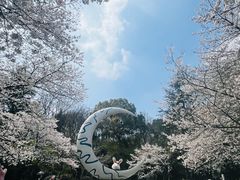 -杭州少年儿童公园