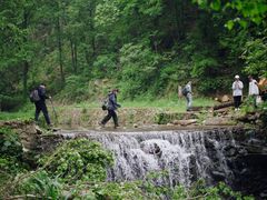 -素山寺森林公园