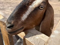 -水上乐园·欢乐世界