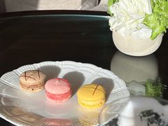 -The lounge 柏悦酒店大堂酒廊(上海环球金融中心店)