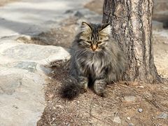 -北京西山国家森林公园